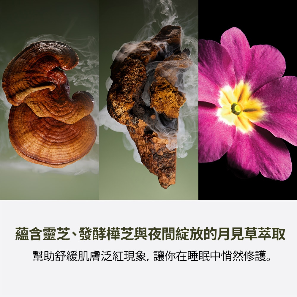 Dr. Weil For Origins™ Mega-Mushroom